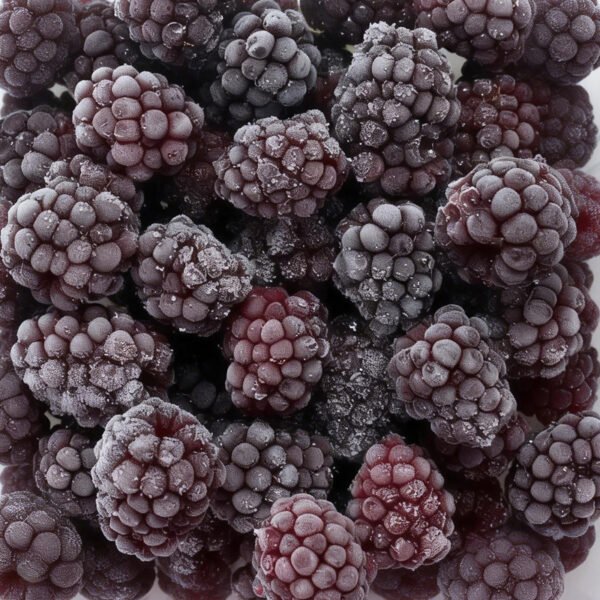 BRC HACCP Certified IQF Frozen Blackberries