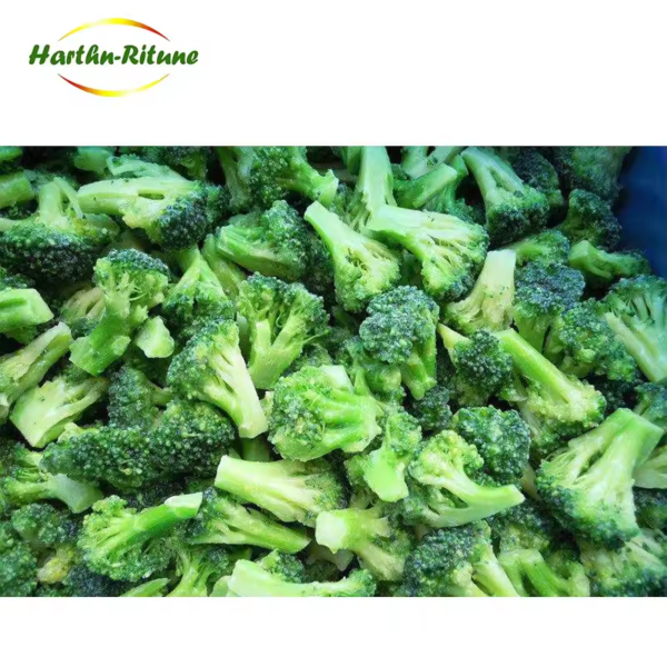 BRC HACCP Certified IQF Frozen Broccoli
