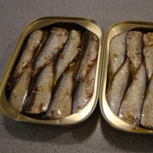 Brine Preserved Canned Sardine Fish with