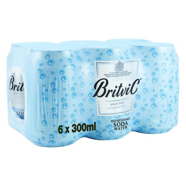 Britvic Club Soda Water 300ml Pack of 6 wholesale UAE — bulk export supplier