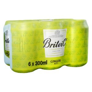 Britvic Ginger Ale 300ml Pack of 6 wholesale UAE — bulk export supplier