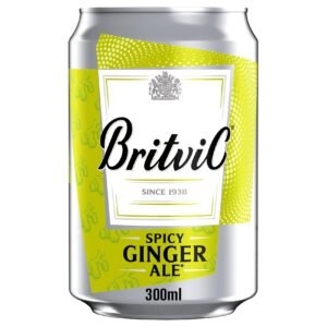 Britvic Spicy Ginger Ale 300ml wholesale UAE — bulk export supplier