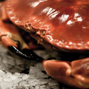 Brown Crab
