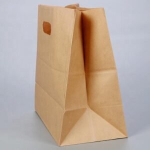 Brown Kraft Paper Bag Shopping Paper