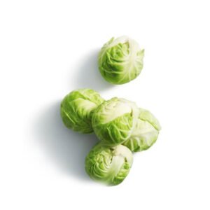 Brussels Sprout Holland — premium quality