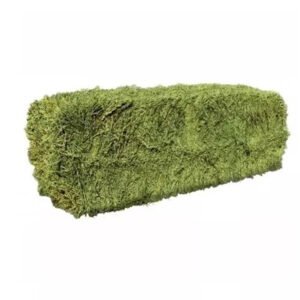 Bulk Alfalfa Hay for Cattle Fish