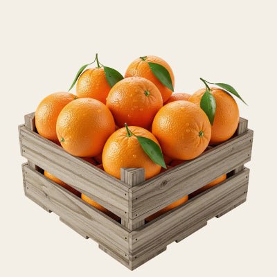 Bulk Buy Bulk Buy — premium quality