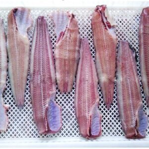 Bulk Catfish Fillet Frozen Skinless Boneless