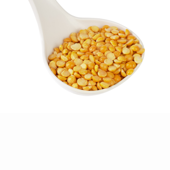 Bulk Supply Indian Chana Dal for