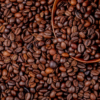 Buy Arabica Sc18 Arabica Green Coffee