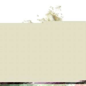 Buy Stock Organic All Purpose Wheat