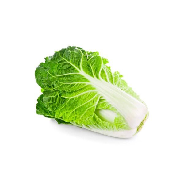 Cabbage Chinese Netherlands Approx 900gm To 1200gm Per Piece Cabbage Chinese Netherlands Approx 900gm To 1200gm Per Piece — premium quality