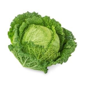 Cabbage Red — premium quality