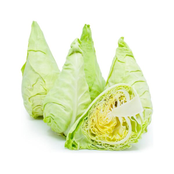 Cabbage Spring Holland — premium quality