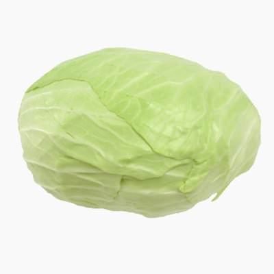 Cabbage White Flat — premium quality