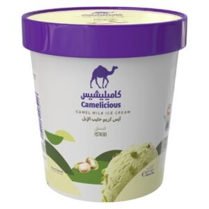 Camelicious Pistachio Camel Milk Ice Cream, 400ml – Wholesale & Export UAE - wholesale supplier | AgroFoods Global