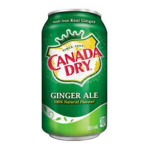 Canada Dry Ginger Ale 355ml — premium quality