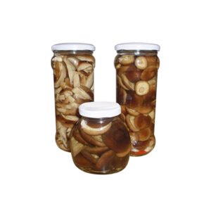 Canned Shiitake Mushroom