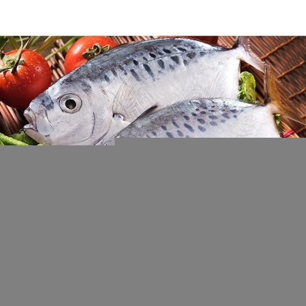 Canned Tuna Chunks in Soybean Oil Canned Tuna Chunks in Soybean Oil