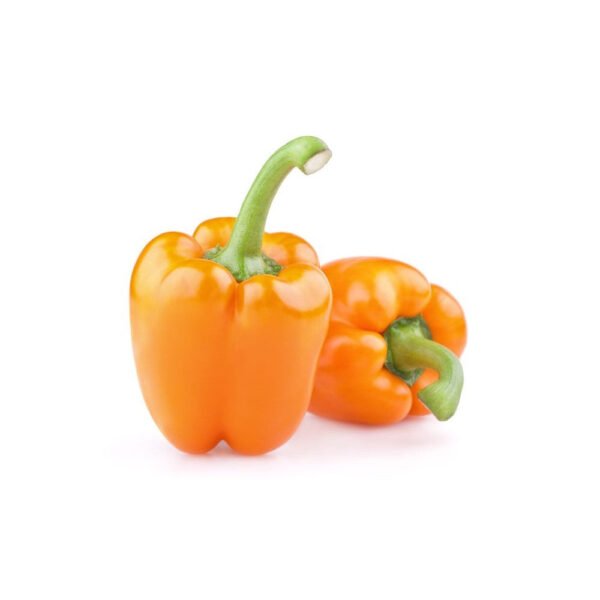 Capsicum Orange UAE 500g Capsicum Orange UAE 500g — premium quality