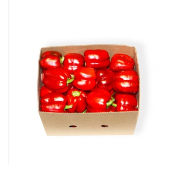 Capsicum Red UAE 4 kg Box — premium quality