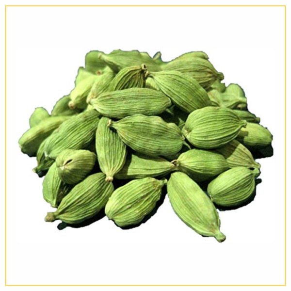 Cardamom Green Big Ndash The Nuts Supermarket Llc Cardamom Green Big Ndash The Nuts Supermarket Llc — premium quality