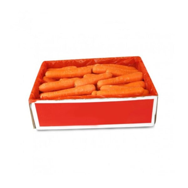 Carrot China 4 kg Box — premium quality