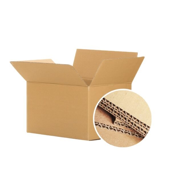 Carton Box 5kg 10 Kg Packaging