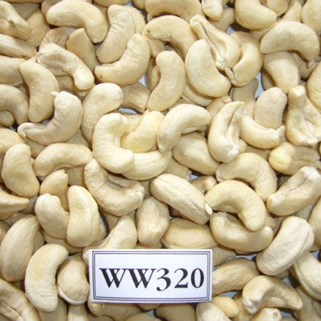 Cashew Nuts W320 W240 From Vietnam