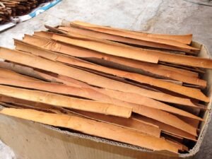 Cassia Cinnamon Split with High Oil
