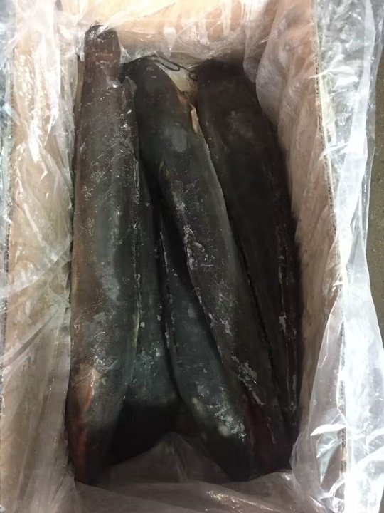 Catfish 1000 2000g pc Exporters Supplier