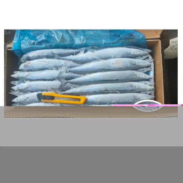 Catfish Frozen Black Fish Bulk Style