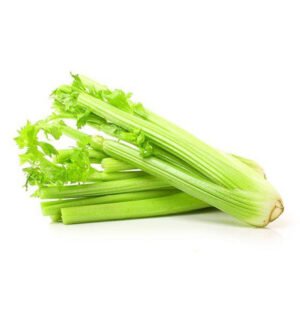 Celery — premium quality