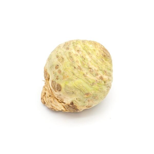 Celery Root — premium quality