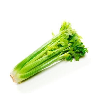 Celery Celery — premium quality
