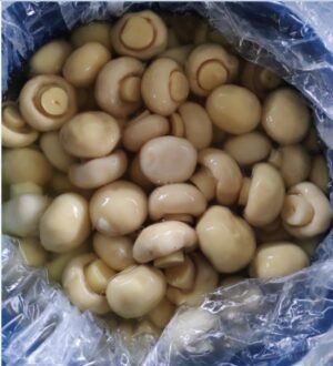 Champignon Mushroom in Drum 50kg