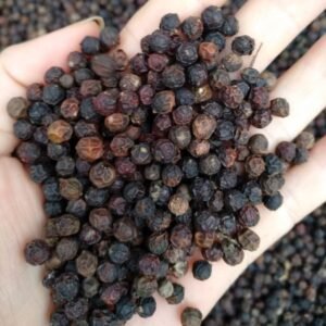 Cheap Dried Black Pepper 550GL Pepper