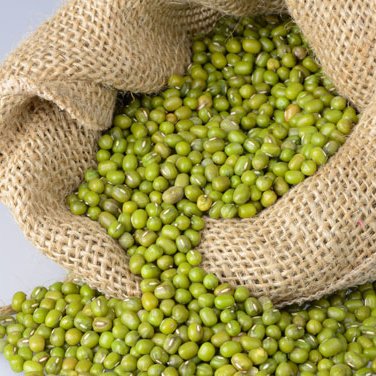Cheap Dried Bulk Green Mung Bean