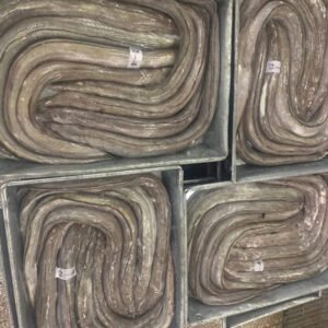 Cheap Ikan Sidat Moray Fresh Frozen
