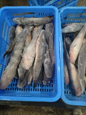 Cheap Price China Supplier Frozen Catfish