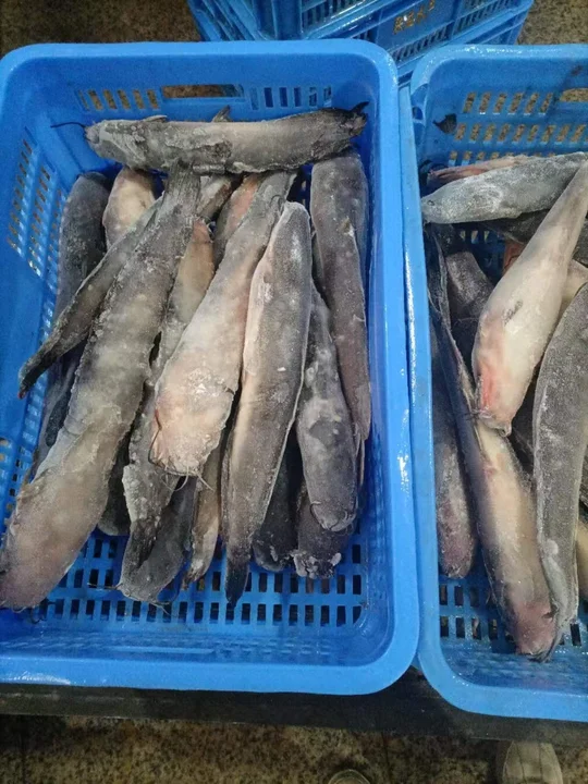 Cheap Price China Supplier Frozen Catfish Cheap Price China Supplier Frozen Catfish