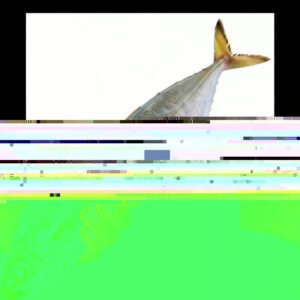 Cheap Price Fish Whole Round Golden