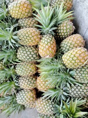 Cheap Price Fresh Pineapple at Competitive