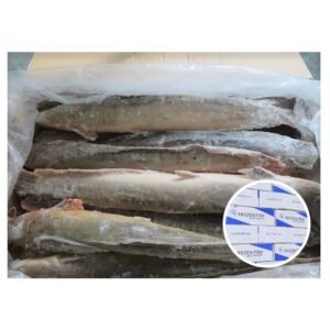 Cheap Price Frozen Bonito Tuna Fish