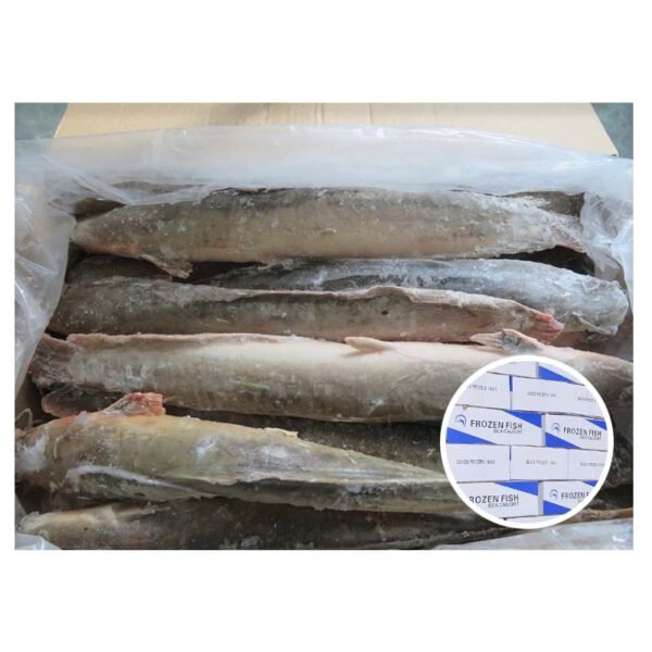 Cheap Price Frozen Bonito Tuna Fish