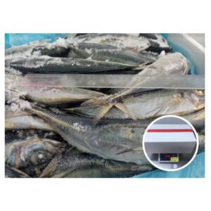 Chile Origin Trachurus Murphyi Chinchard 1000g