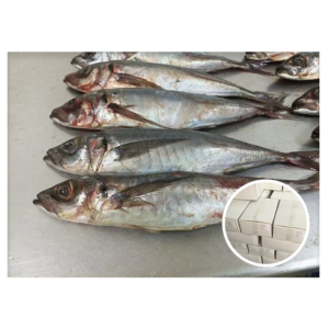 Chilean Jack Mackerel Fish 300 500g