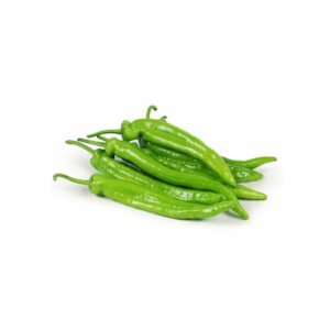 Chilli Green Long Sanitized — premium quality