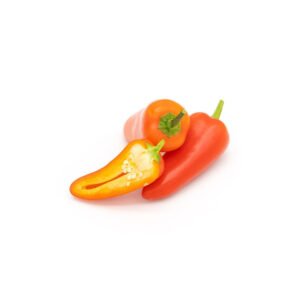 Chilli Jalapeno Red Holland — premium quality