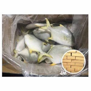 China Export Farmed Fish Golden Pompano